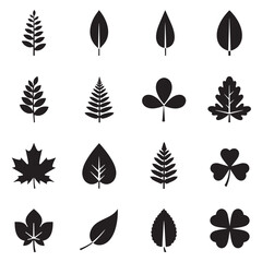 Vector black leaf icons set