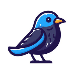 
starling illustration design