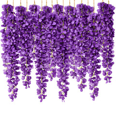 Cascading purple wisteria flowers against a dark backdrop for a captivating floral scene