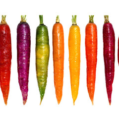 Assortment of colorful carrots with fresh green tops against a black background