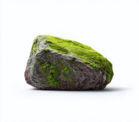 Moss-covered rock on white background