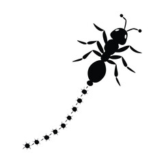 Silhouette of tracking ants On Transparent Background