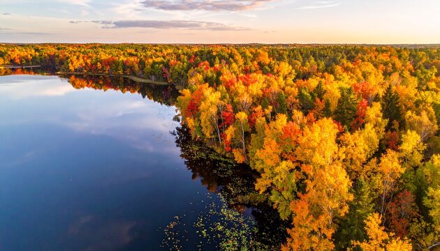 Aerial view of vibrant autumn forest bordering a serene lake at sunset.