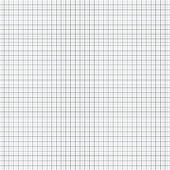 Blank Graph Paper with Light Grid Lines for Professional Use