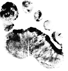Footrpint Textures