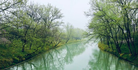 Small river in the spring drizzle