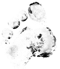 Footrpint Textures