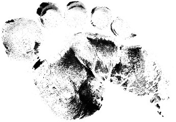 Footrpint Textures
