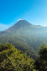 Fototapeta premium A view of Mount Merapi in the morning with a lush forest in the foreground. The panoramic beauty of Mount Merapi on a clear morning is clearly visible from a distance.