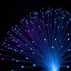 Glowing Fiber Optic Bundles