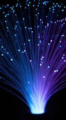 Glowing Fiber Optic Bundles