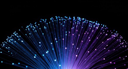 Glowing Fiber Optic Bundles
