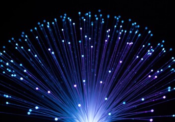 Glowing Fiber Optic Bundles