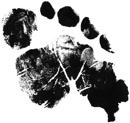 Footrpint Textures