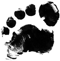Footrpint Textures