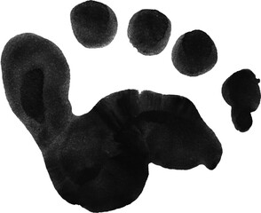 Footrpint Textures