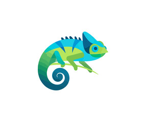 Fototapeta premium Colorful chameleon illustration
