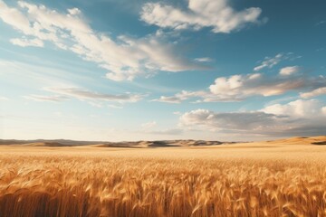 Obraz premium Golden wheat field under vast blue sky with clouds image