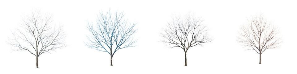 Bare Tree Silhouette Set: Winter Tree Illustration