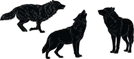 Set of three wild wolf silhouettes in different poses running standing and howling, black animal wildlife vector illustration design