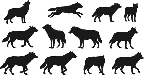 Collection of wolf silhouettes in various poses including walking, running, standing and howling, wild animal vector design for nature themes