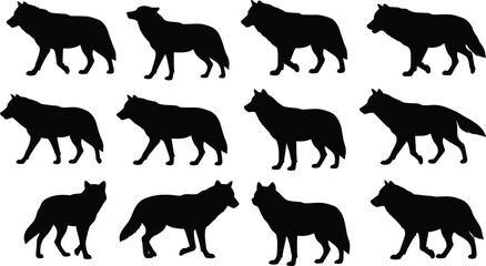 Wolf silhouettes collection showing walking and standing poses, wild animal vector illustration set for design, decoration and wildlife projects