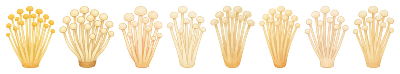PNG Golden enoki mushrooms illustration, element set on transparent background