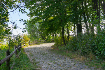 Dirt road winding through a rural area with lush green trees and peaceful surroundings