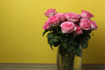 pink rose on a yellow background
