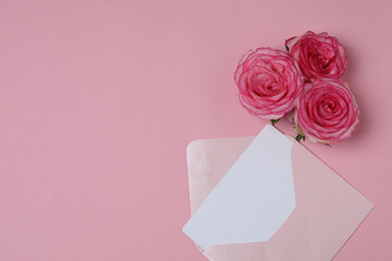Pink rose with gift on pink background
