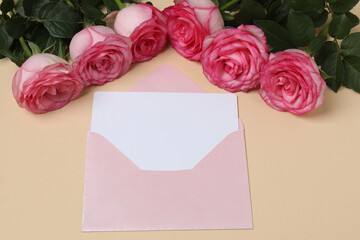 Pink rose with gift on beige background

