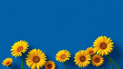 Fototapeta premium Vibrant yellow gerbera daisies arranged in geometric pattern against deep blue background.