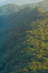 Lush tropical forest ridge with golden sunlight casting dramatic shadows over green canopy in highland wilderness. Dense tropical forest covers rolling mountain ridges, illuminated by golden sunlight