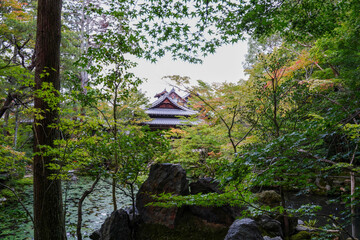 緑豊かな京都の寺院の庭園風景
