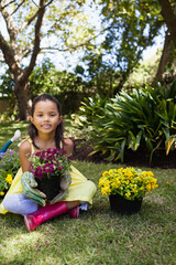 Potted purple flowers sitting in backyard garden near yellow blooms under dappled sunlight