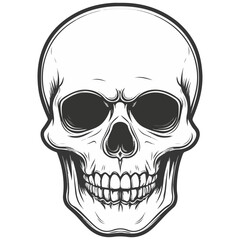 Obraz premium skull, halloween, festival, vector, transparent background, head, skeleton, death, dead, anatomy, horror, evil, scary, bones, danger, tattoo, mask