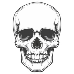 Fototapeta premium skull, halloween, festival, vector, transparent background, head, skeleton, death, dead, anatomy, horror, evil, scary, bones, danger, tattoo, mask