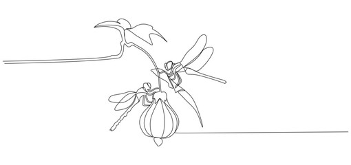 Minimalist one-line drawing of two dragonflies resting on a flower. The artwork represents nature, delicacy, freedom, and balance