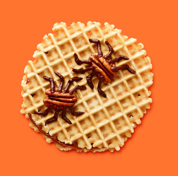 Bugged Out Waffle Cookie with Insect Design