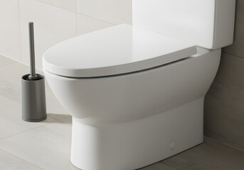 White toilet and gray brush