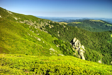 Beautiful summer landscape in the mountain