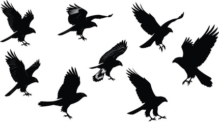 Set of Flying Hawk Silhouettes, Birds of Prey, Raptors in Motion, Attack Poses, Wildlife Illustration, Predator Birds Vector Collection