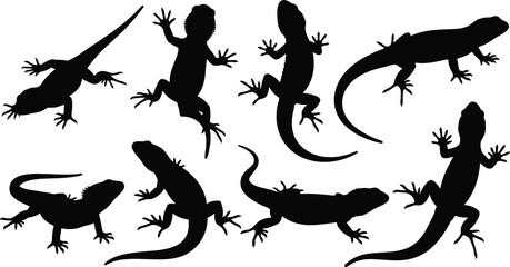 Set of Lizard Silhouettes in Various Poses, Reptile Animal Vector, Climbing, Crawling, Wildlife, Exotic Creature, Nature Design Illustration