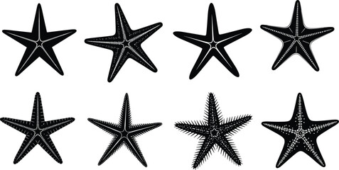 Set of Starfish Silhouettes, Marine Animal Icons, Sea Star Vector Illustration, Ocean Life Graphic, Aquatic Wildlife Design, Nautical Clipart