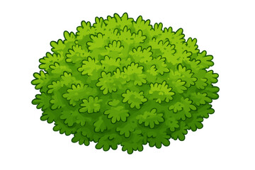 Fresh green moss top view texture vector cartoon illustration isolated on white background detailed close-up nature botanical natural plant foliage seamless pattern