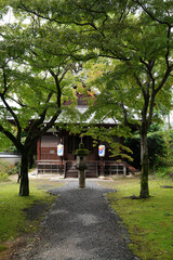 Obraz premium 木々の緑が美しい京都の寺院の境内の風景