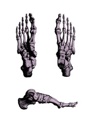 Foot bone with halftone retro style in transparent background