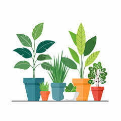 Obraz premium Assorted potted plants with vibrant green leaves and colorful pots on a shelf