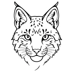 Abstract geometric line art design silhouette