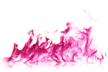 Pink and purple fire flames with reflection isolated on a transparent background